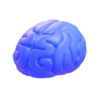 Cervello